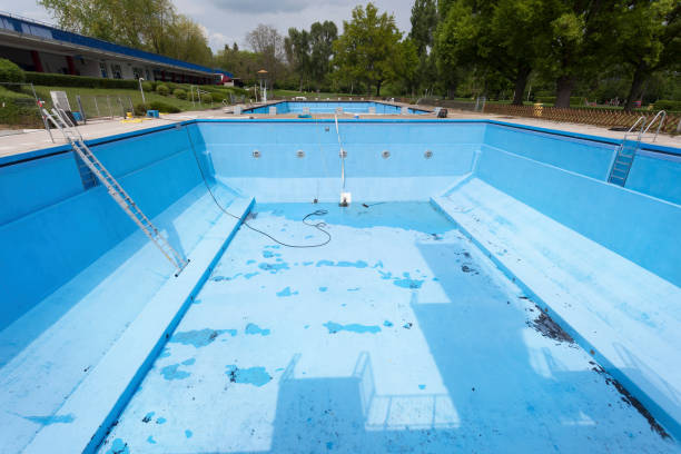 Best Water damage restoration mold remediation  in Merriam, KS