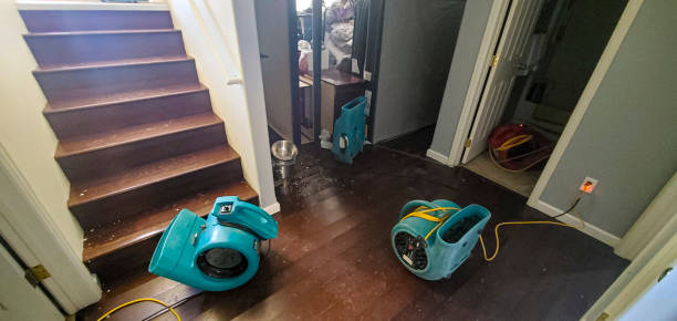 Best Sewage cleanup and water damage restoration  in Merriam, KS