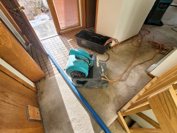 Best Flooded house restoration  in Merriam, KS