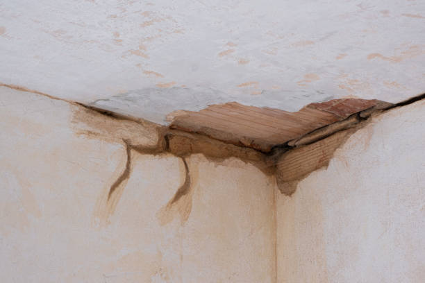 Best Water damage restoration experts  in Merriam, KS