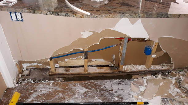 Best Professional water damage repair  in Merriam, KS