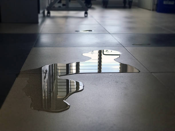 Best Water damage restoration near me  in Merriam, KS
