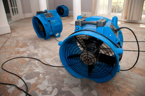 Best Water damage restoration cost  in Merriam, KS