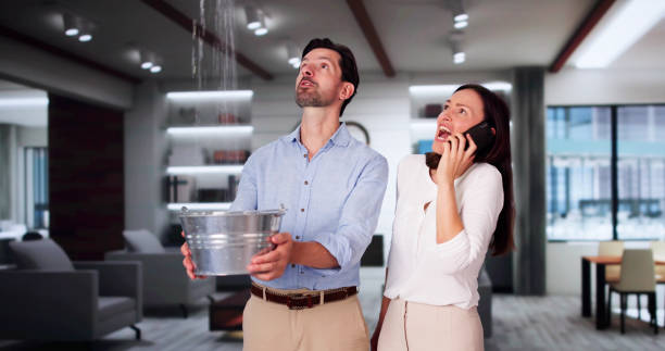 Best Local water damage restoration  in Merriam, KS